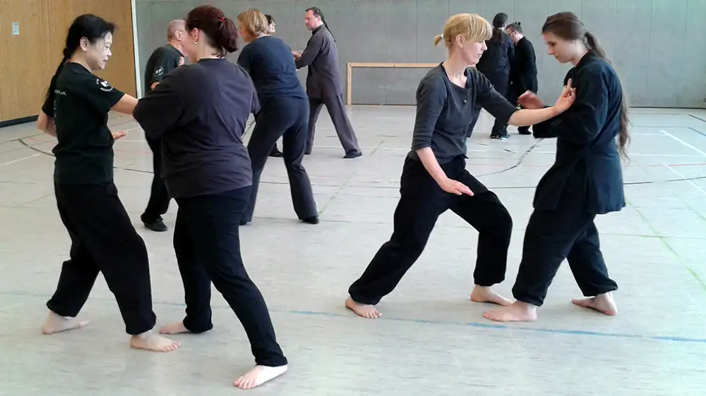 Push Hands & Yangsheg Pushen